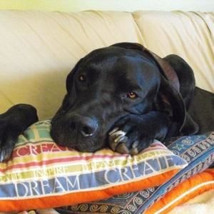 Meet your Posher, Mari